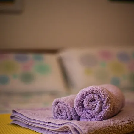 Palau Del Corso Apartment *