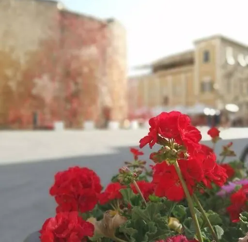 Palau Del Corso Alghero