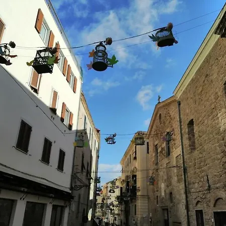 Palau Del Corso *