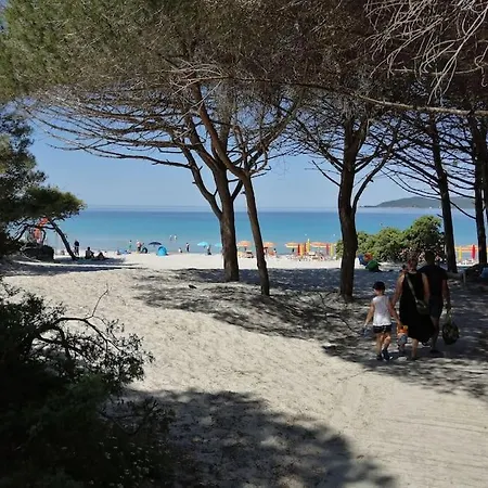 Palau Del Corso Alghero